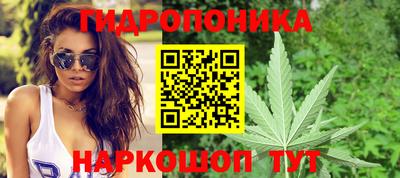 гашик Будённовск