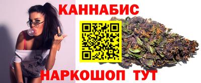 гашик Будённовск