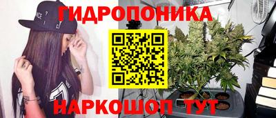 гашик Будённовск