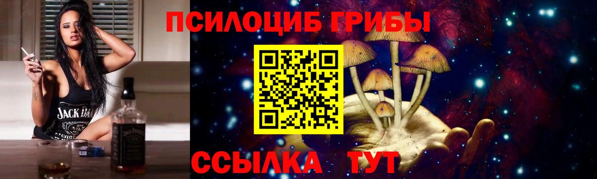 дарнет шоп  Псилоцибиновые грибы мицелий  Вход с VPN  Нижнекамск  Галлюциногенные грибы Magic Shrooms 